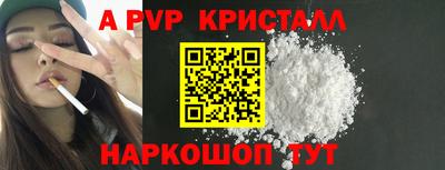 индика Сланцы