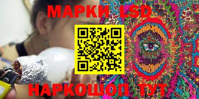индика Сланцы