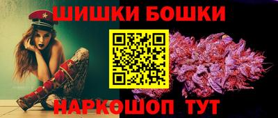 индика Сланцы