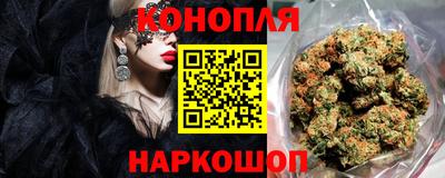 индика Сланцы