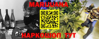 индика Сланцы