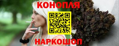 индика Сланцы