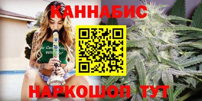 индика Сланцы