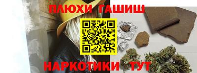 индика Сланцы