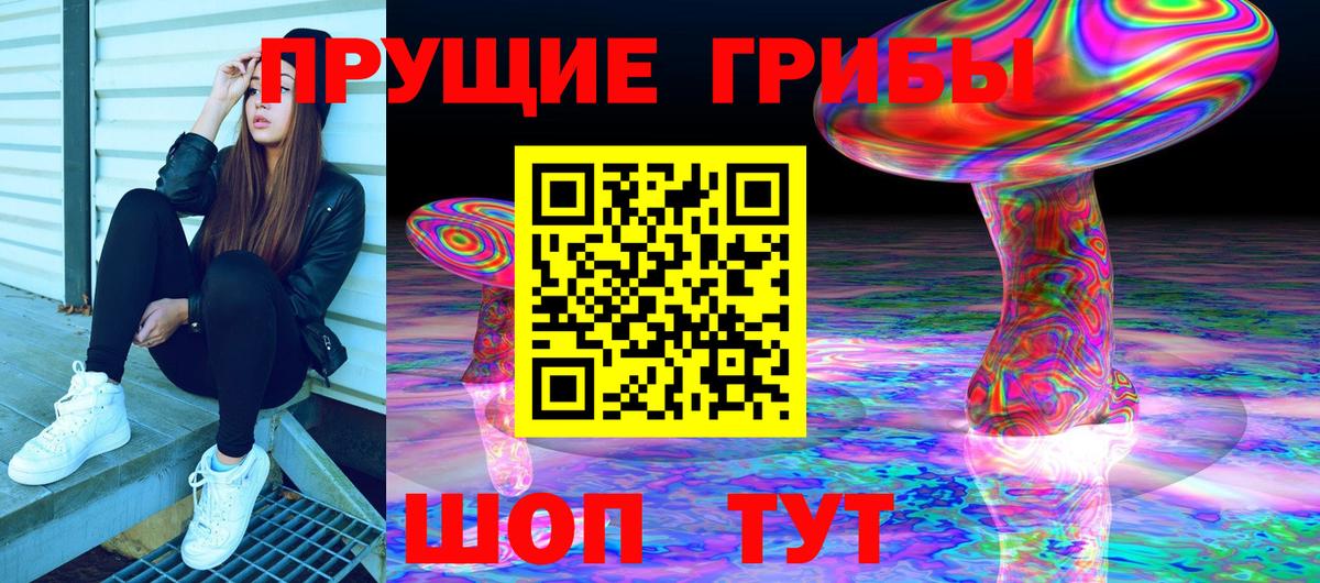 Псилоцибиновые грибы Cubensis Уссурийск