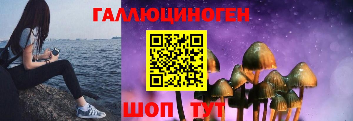 Псилоцибиновые грибы MAGIC MUSHROOMS  Вход с VPN  Уссурийск 